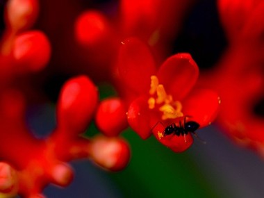 《乳液吐息》樱花动漫