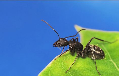 主人地下室调数女m小说