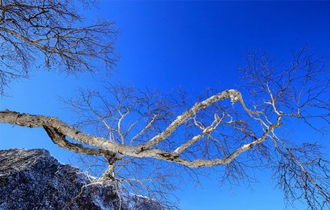 可以无视隐私的软件大全免费