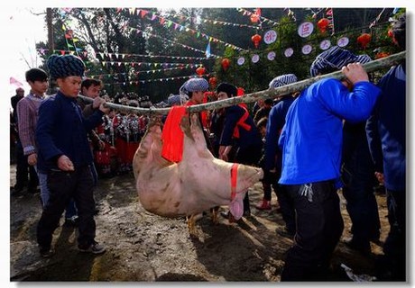 忘忧草实验室实验所