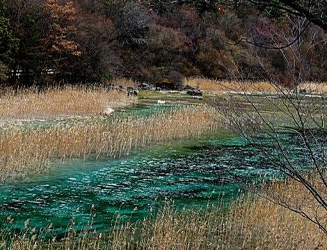 水蜜桃视频在线观看免费完整版