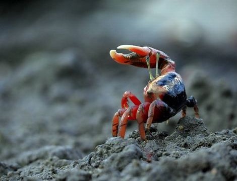 漏水注浆视频