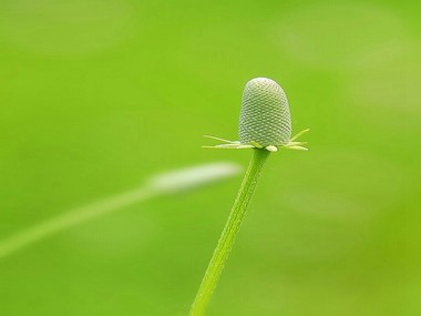 腋臭手术的最佳年龄