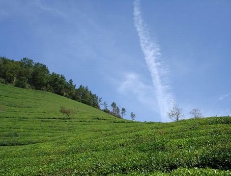 范冰冰苹果佟大为手机版