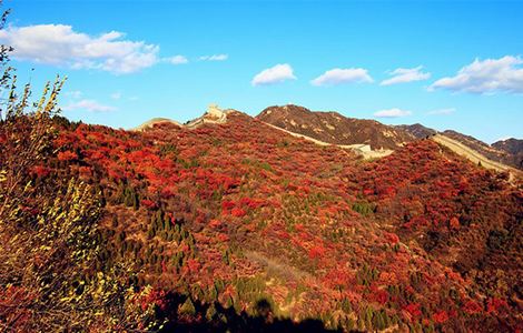 菠萝蜜线路一线路二十八岁