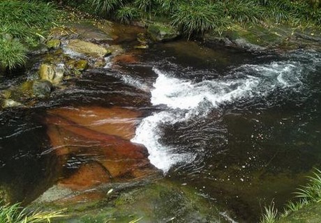 萧驰野沈泽川萧策安沈兰舟的关系