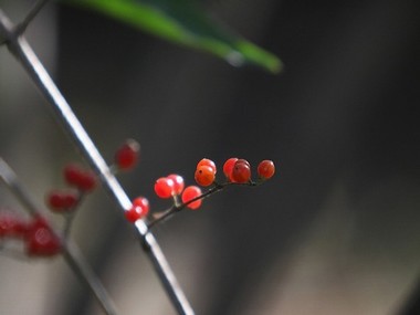 视频格式在线转换