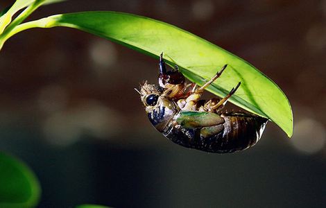 青苹果yy8848私人视院